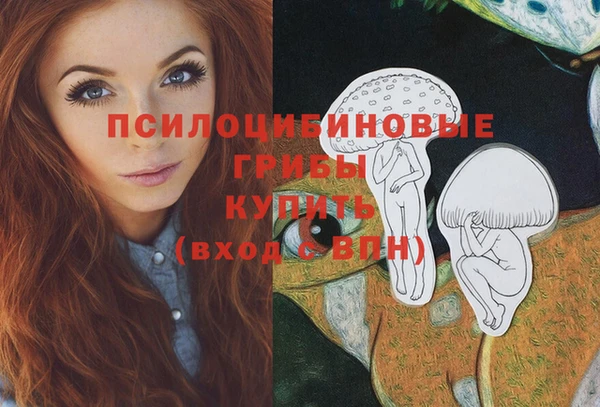 молекула духа Абинск