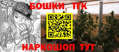 apvp Рузаевка