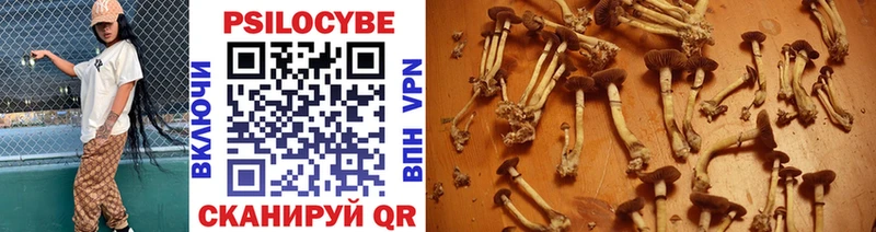 купить закладку  Октябрьский  Галлюциногенные грибы Psilocybe 